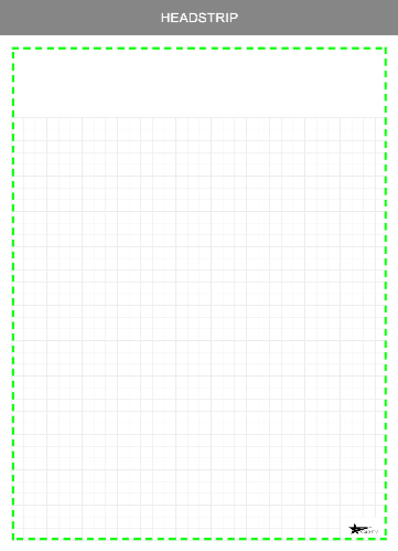 Quadrille Ruled (4 Sq/in)