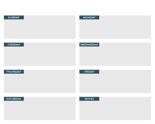 Executive Weekly Planner