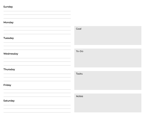 Professional Weekly Planner